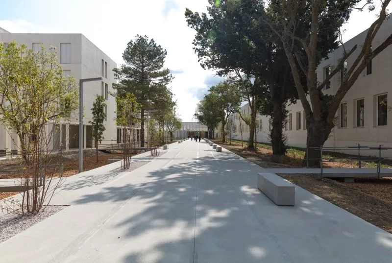 Les arbres remarquables du site ont été conservés, ils accompagnent le « quai- promenade ». Les arbres remarquables du site ont été conservés, ils accompagnent le « quai- promenade ».