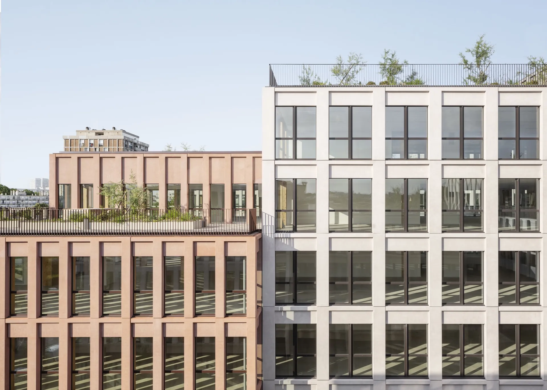 L’alternance de deux trames en façade ajoute du rythme et du caractère à la rigueur géométrique des façades.