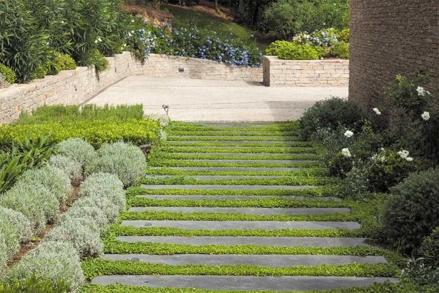 Originalité : un escalier végétalisé aux marches allongées menant à la résidence. Originalité : un escalier végétalisé aux marches allongées menant à la résidenc