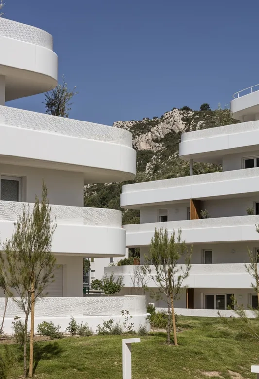 en fond de scène, le massif des Calanques.