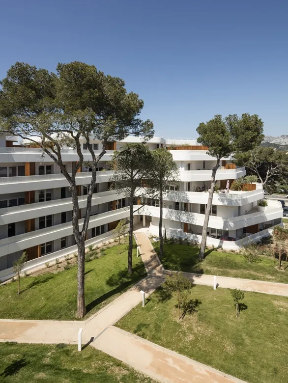 L’aménagement paysager de l’intérieur de l’îlot associe les pins qui ont été préservés à de nouvelles plantations d’espèces endogènes.