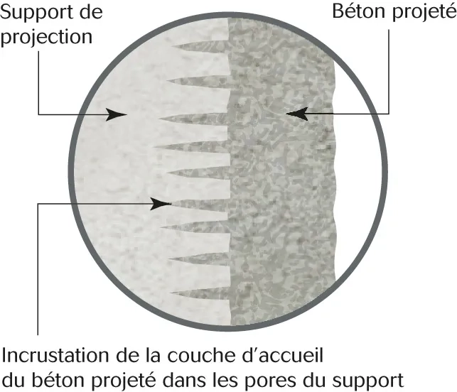 Schéma de l’accrochage mécanique du béton projeté par voie sèche  sur le support