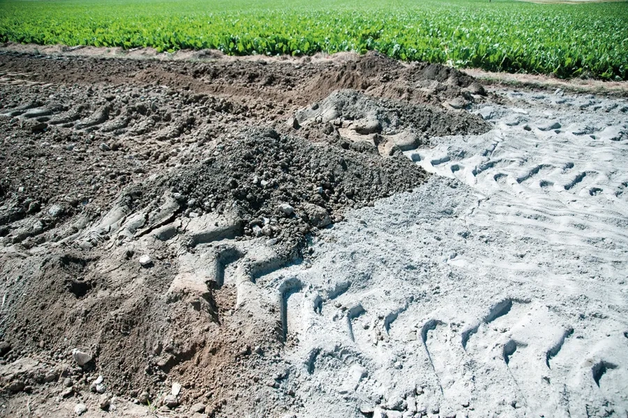 Résultat à l’issue du malaxage : le liant clair a été finement mélangé avec le matériau de l’ancienne chaussée. Résultat à l’issue du malaxage : le liant clair a été finement mélangé avec le matériau de l’ancienne chaussée.