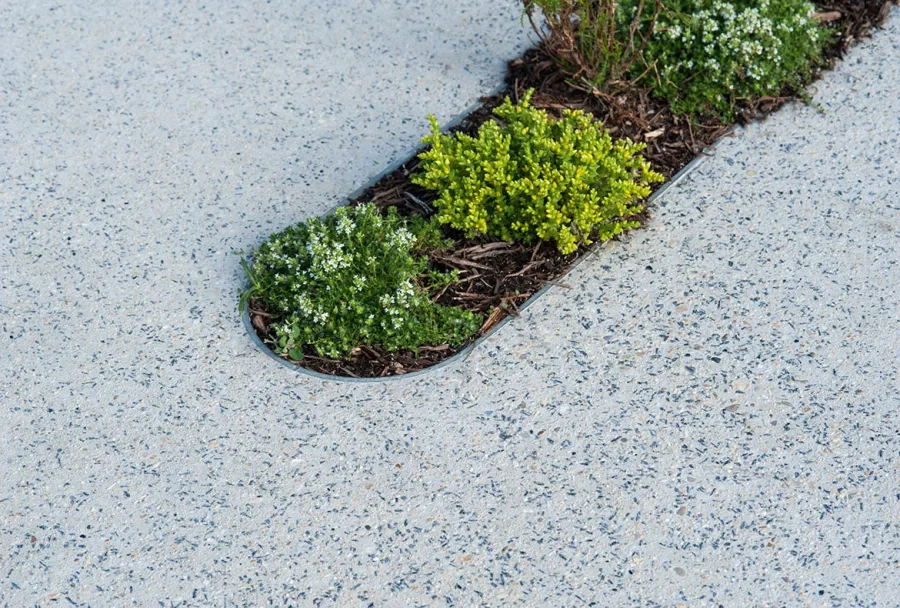 Quelque 145 jardinières – 1 m de long sur 20 cm de large – ont été implantées en quinconce dans le prolongement du patio central. Quelque 145 jardinières – 1 m de long sur 20 cm de large – ont été implantées en quinconce dans le prolongement du patio central.