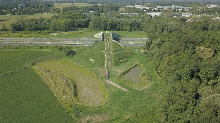 L’aménagement de l’ouvrage reproduit l’écosystème environnant pour compenser l’effet de rupture généré par l’infrastructure. © Romain Courtaud L’aménagement de l’ouvrage reproduit l’écosystème environnant pour compenser l’effet de rupture généré par l’infrastructure.