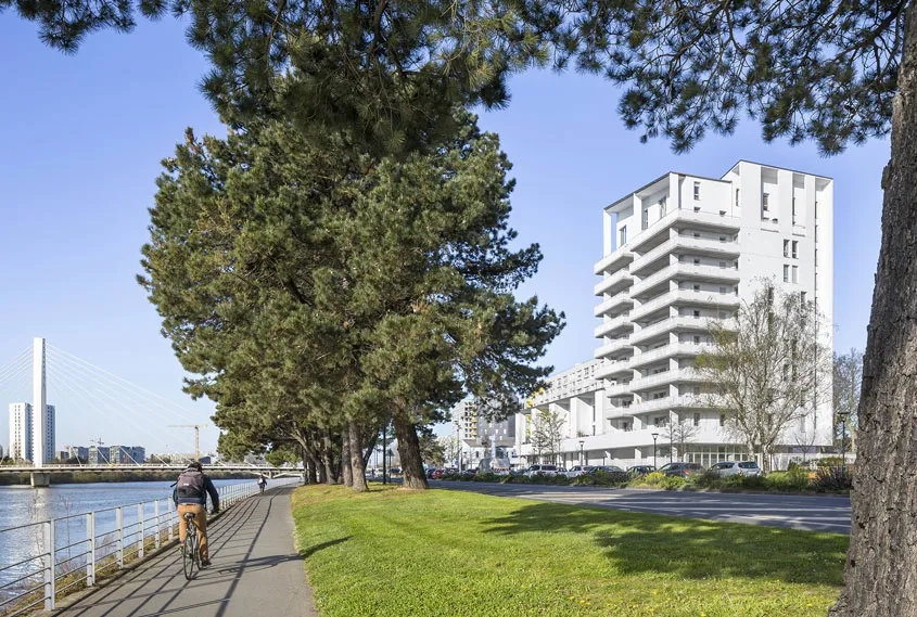 Le projet s’élève en bordure de la Loire, profitant au sud de la présence du fleuve, de ses vues et de ses lumières.