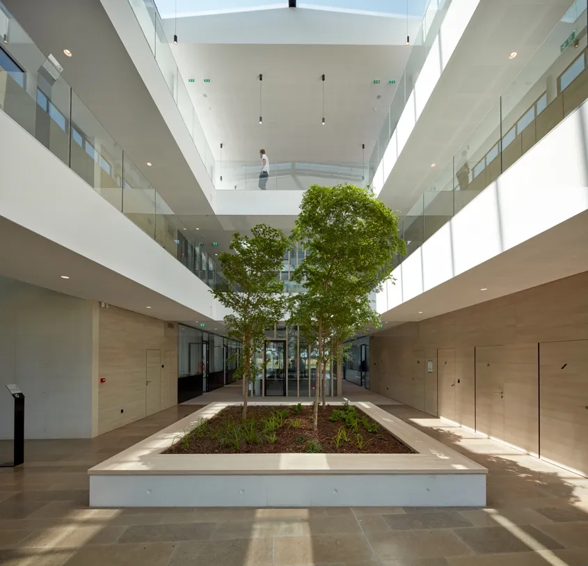 Dans chaque aile, les bureaux sont disposés de part et d’autre d’une rue intérieure « atrium », ponctuée de vides double ou triple hauteur, de salles de réunion, de jardinières.