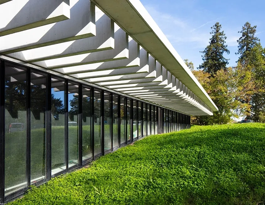 Les modelés de terrain permettent aux locaux de bénéficier de lumière naturelle en préservant l’intimité des occupants.