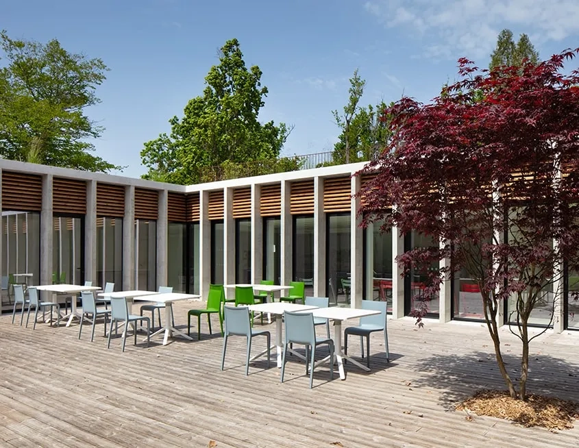 Lignes épurées et duo bois-béton créent un patio qui respire le calme et la sérénité.