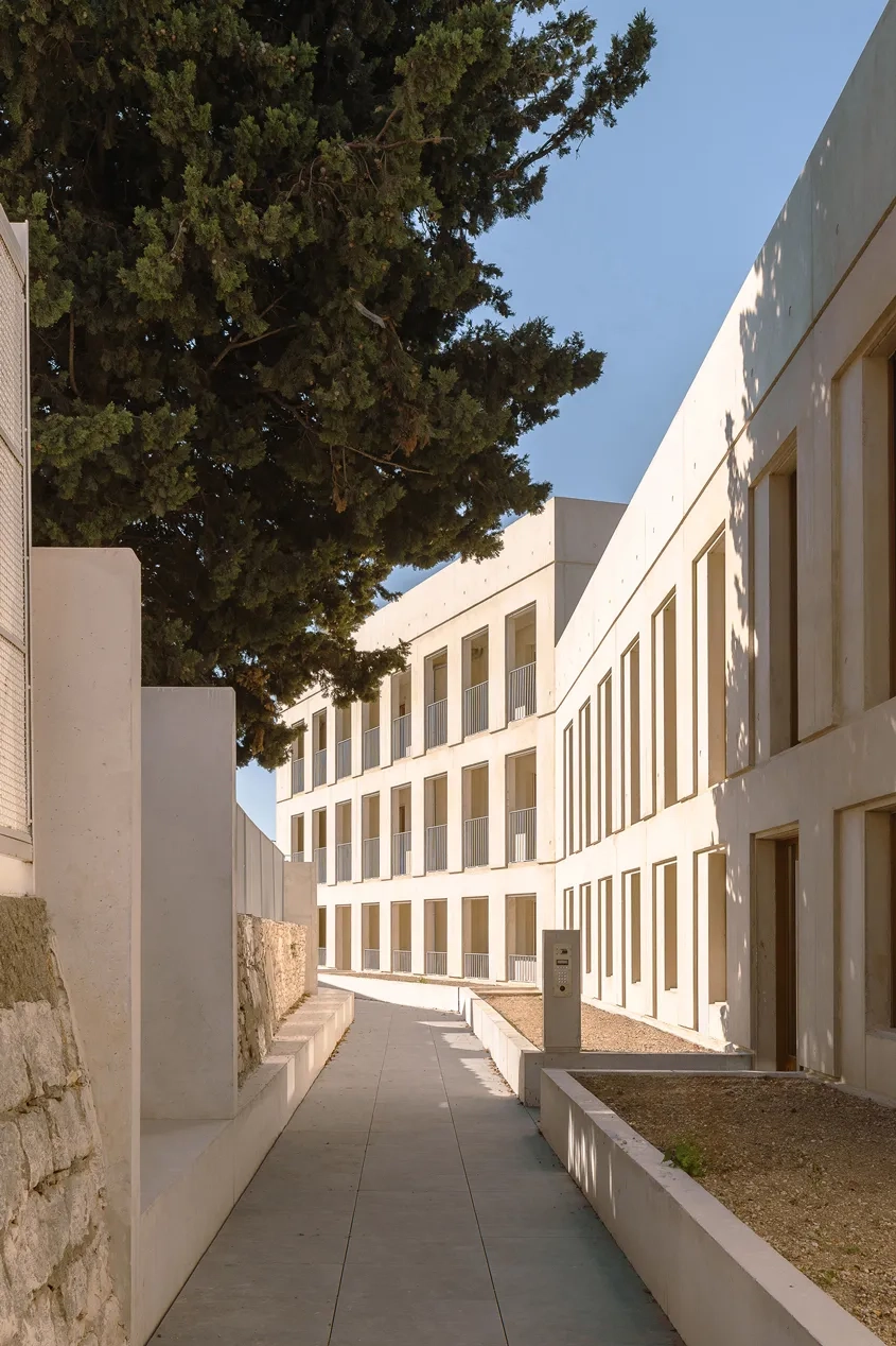 L’accès aux logements est structuré par un banc linéaire en béton gris d’un côté et une composition paysagère de l’autre, créant un parcours empreint d’urbanité.