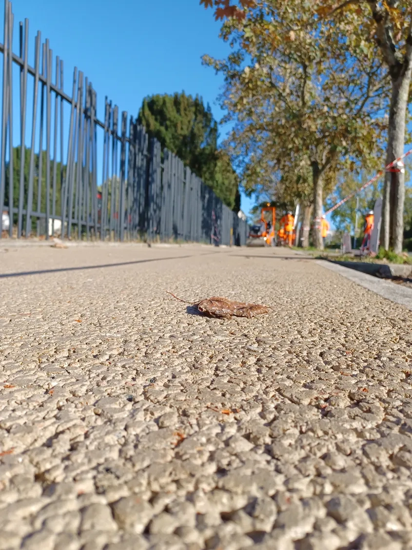 Piste cyclable en BCR poreux avec 90 % de graves recyclées 4/10 et 10 % de sable roulé 0/4, à Lagord (17). (©Spie Batignolles Malet)