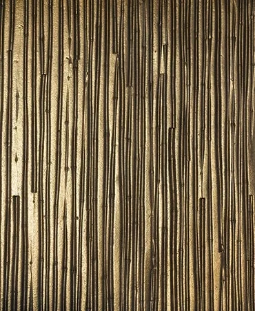 au rez-de- chaussée, le parement extérieur des murs à co rages intégrés isolés est matricé et présente un motif de bambou. au rez-de- chaussée, le parement extérieur des murs à co rages intégrés isolés est matricé et présente un motif de bambou.