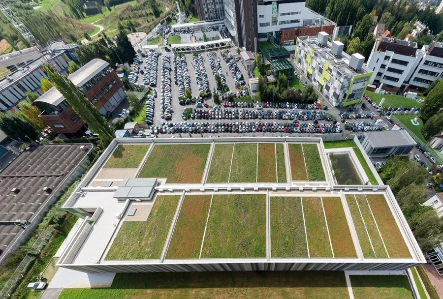 La toiture- terrasse, végétalisée en damier, et qui reprend les coloris des bétons de façades. La toiture- terrasse, végétalisée en damier, et qui reprend les coloris des bétons de façades.