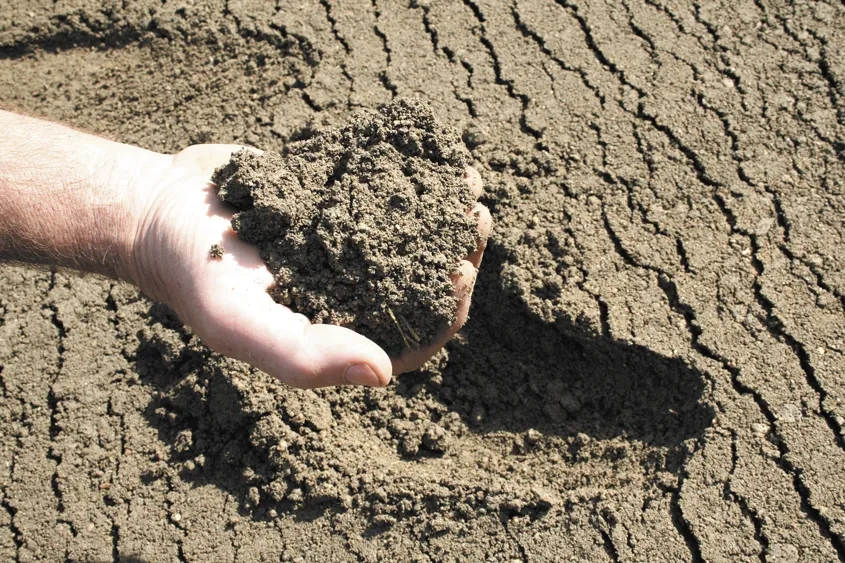Le matériau BCR est constitué de granulats, de liant hydraulique (ciment ou LHR), d’eau et éventuellement d’adjuvants. (©Cimbéton)