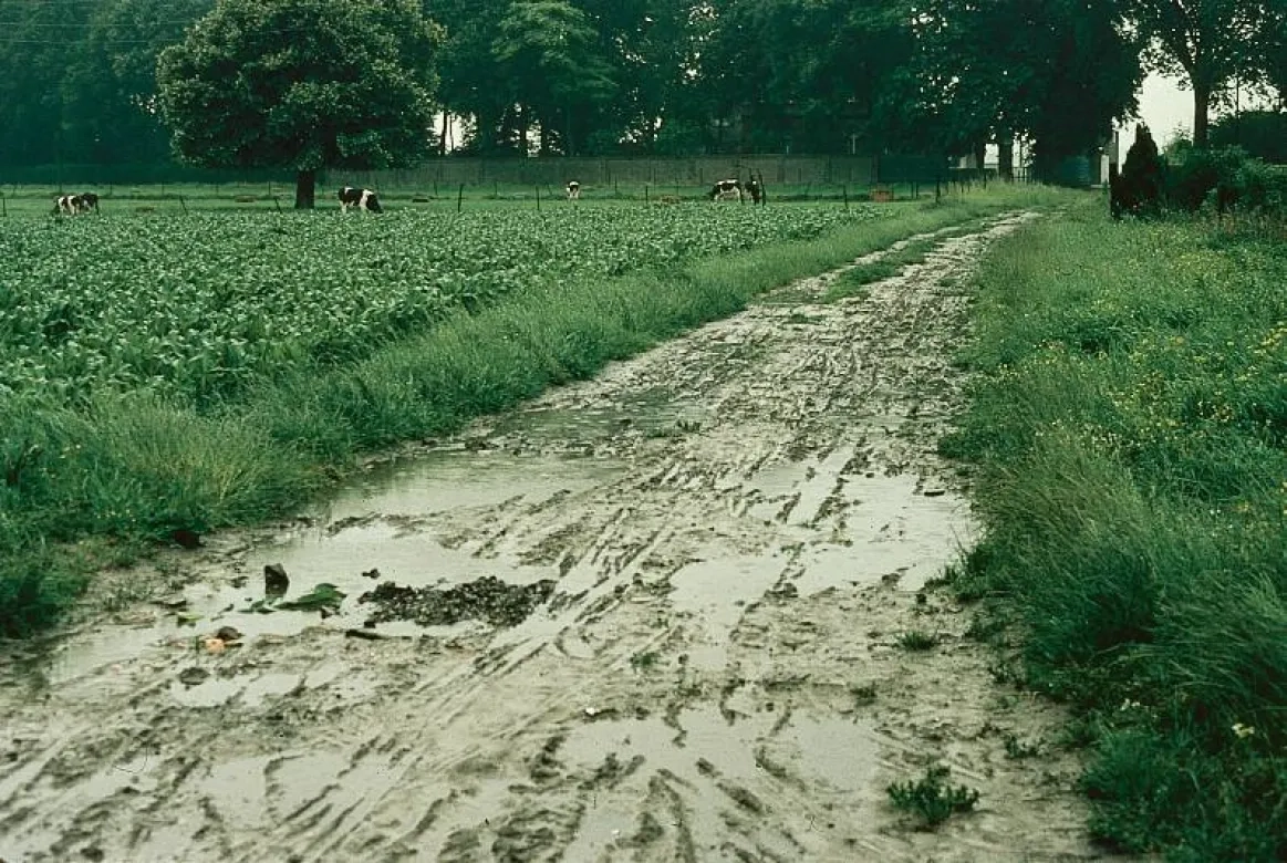 Photo chemin de campagne bourbeux