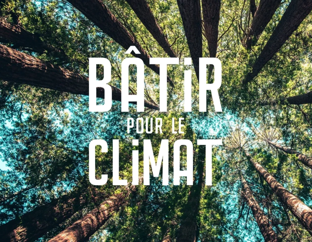Arbres vus d'en bas et "Batir pour le climat"
