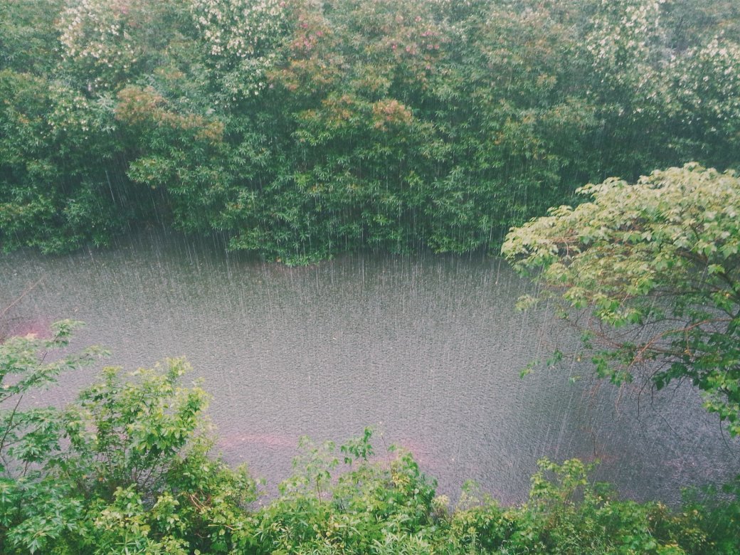 cours d'eau en crue sous la pluie by Christopher on Unsplash