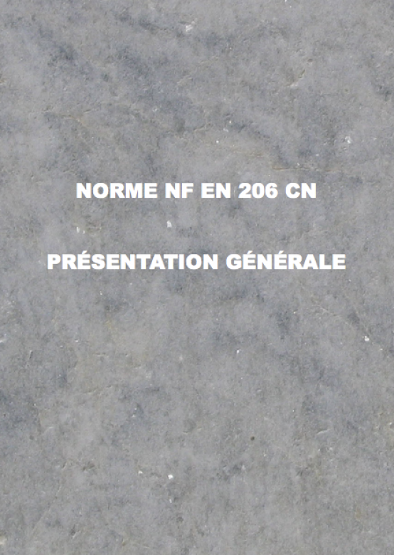 COMPRENDRE LA NORME BÉTON NF EN 206/CN