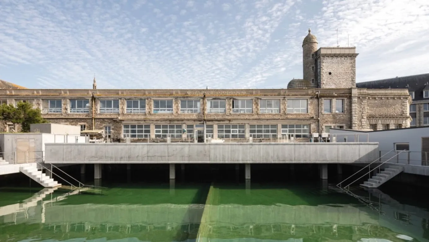 À l’avant de la façade nord, la nouvelle plateforme d'expérimentation en béton armé surplombe une partie du vivier.